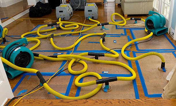 Professional Water Damage Restoration technician working in Pinetown, NC